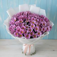 Букет цветов из:  Хризантемы в Ермолаево