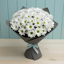 Букет цветов из:  Хризантемы #REPLACE_PRED# Ермолаево