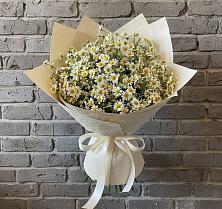 Букет цветов из:  Ромашки в Ермолаево