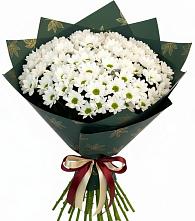 Букет цветов из:  Хризантемы в Ермолаево