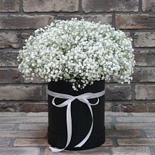Цветочная композиция из Гипсофила в шляпной коробке #REPLACE_PRED# Ермолаево