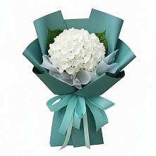Букет цветов из:  Гортензия в Ермолаево